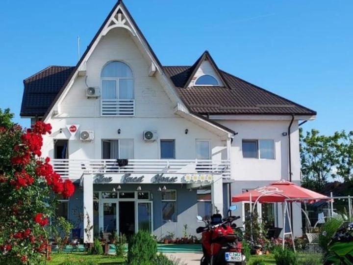 Tina Guest House Basarabi Ngoại thất bức ảnh